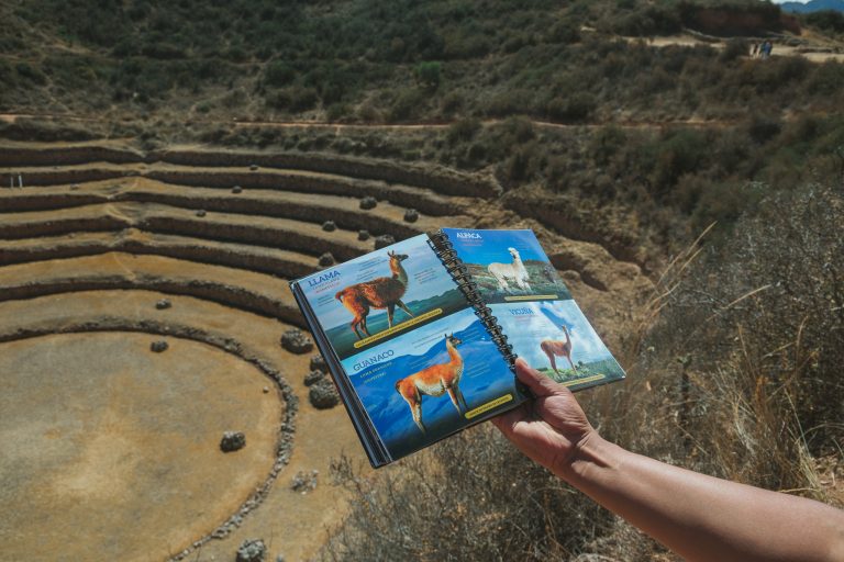 moray ruins sacred valley biking