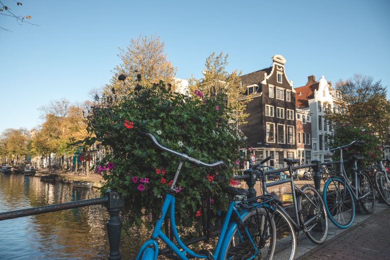 amsterdam bicycle flowers photography